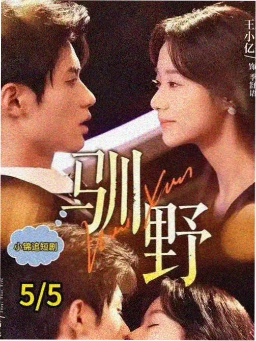 草莓视频ios在线观看都市剧集封面